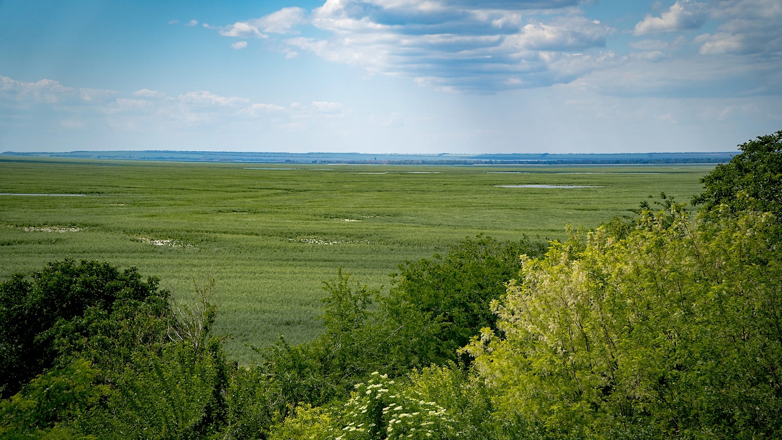 Ukraine Rewilding: Will Nature Be Allowed to Revive When Battle Ends?