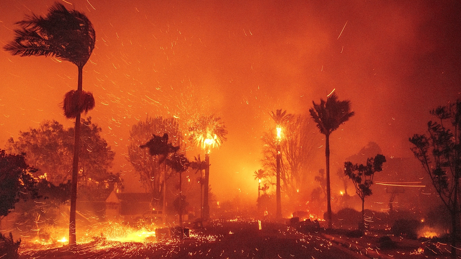 Whiplash: How Massive Swings in Precipitation Fueled the L.A. Fires