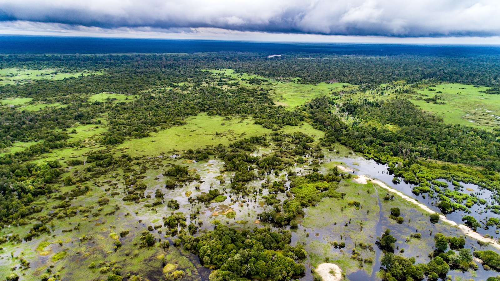 Will UN Carbon Market Work? Indonesia Will Present First Take a look at