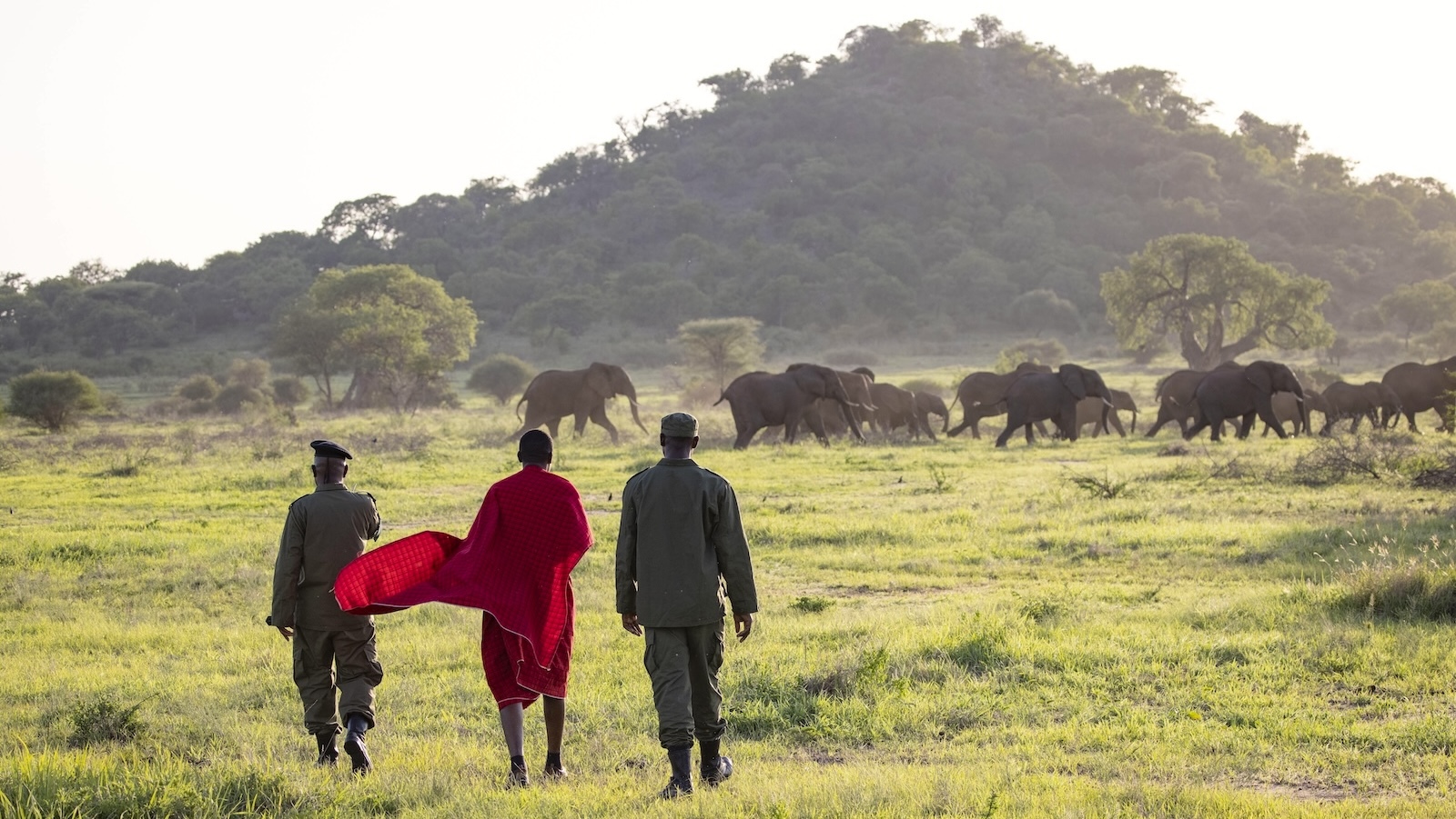 How African Communities Are Taking Lead on Defending Wildlife